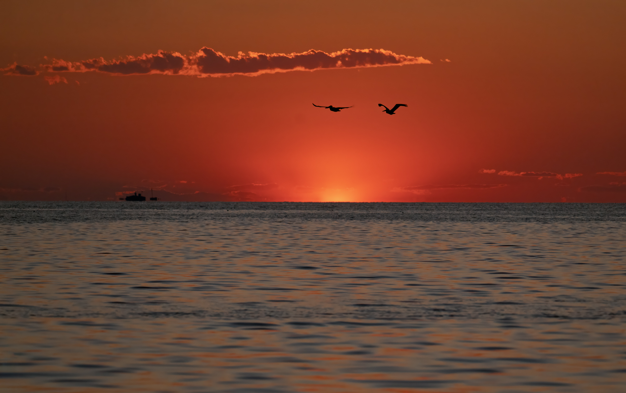 Chesapeake